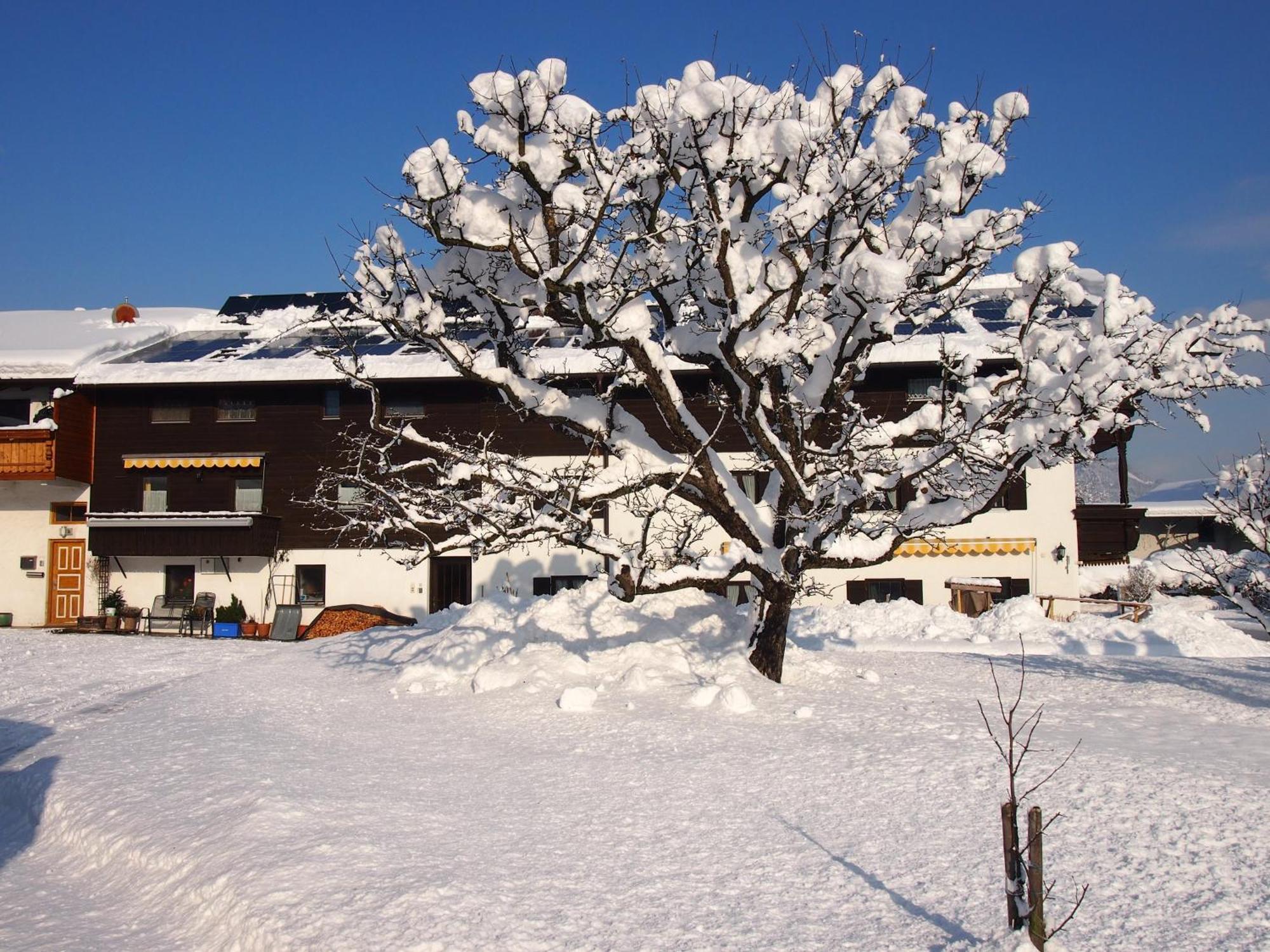 Pension Wagnerhof Oberaudorf Esterno foto