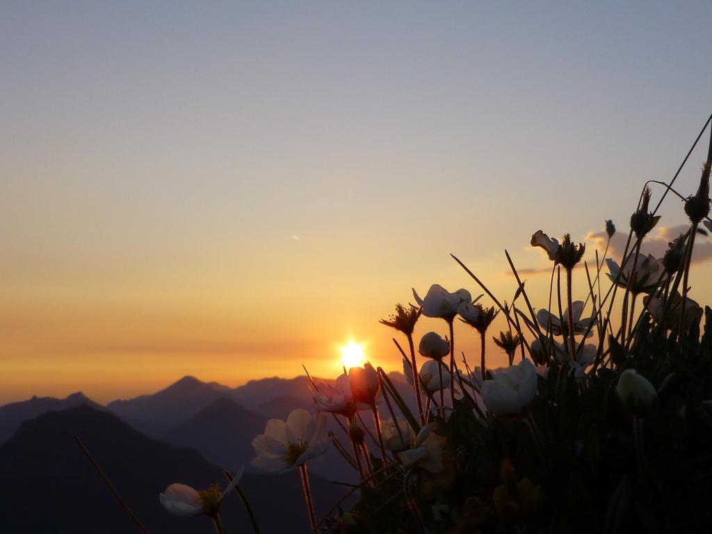 Pension Wagnerhof Oberaudorf Esterno foto